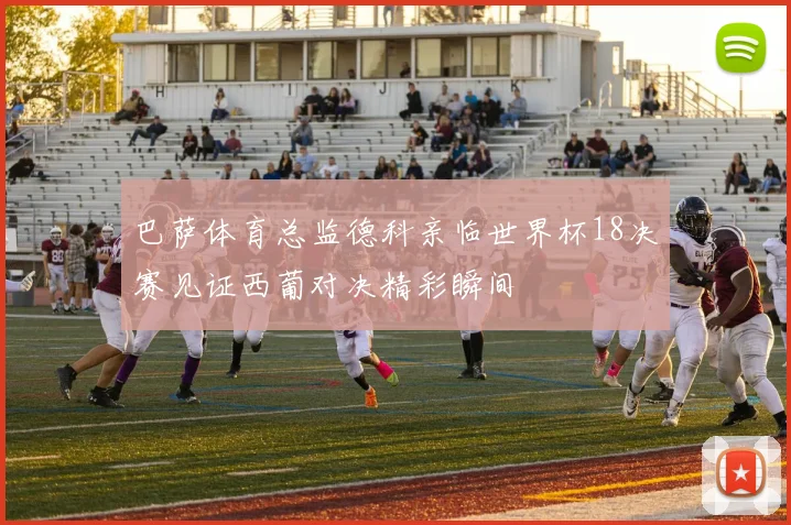 巴萨体育总监德科亲临世界杯18决赛见证西葡对决精彩瞬间