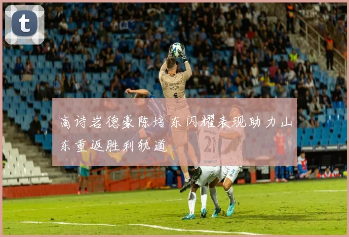 高诗岩德豪陈培东闪耀表现助力山东重返胜利轨道